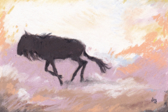 Gnu